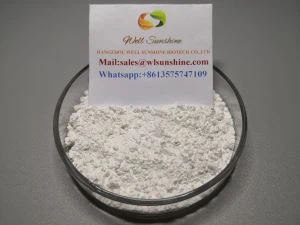 Dimetridazol 20 Prozent